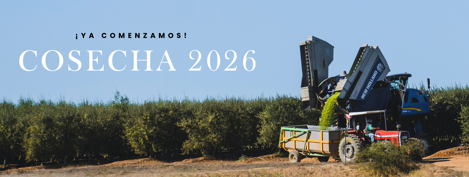 Cosecha 2026